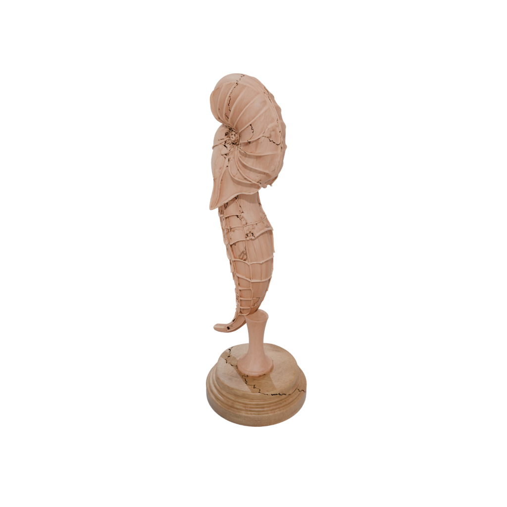 Woodgrain Flexi Nautilus