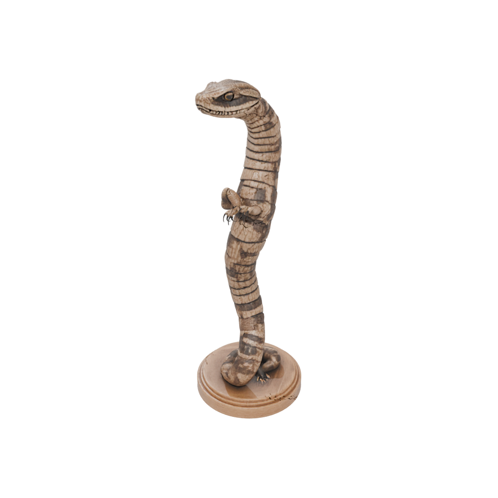 Woodgrain Flexi Rattlesnake