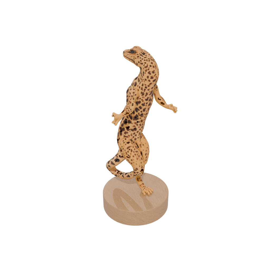 Woodgrain Geo Flexi Leopard Gecko