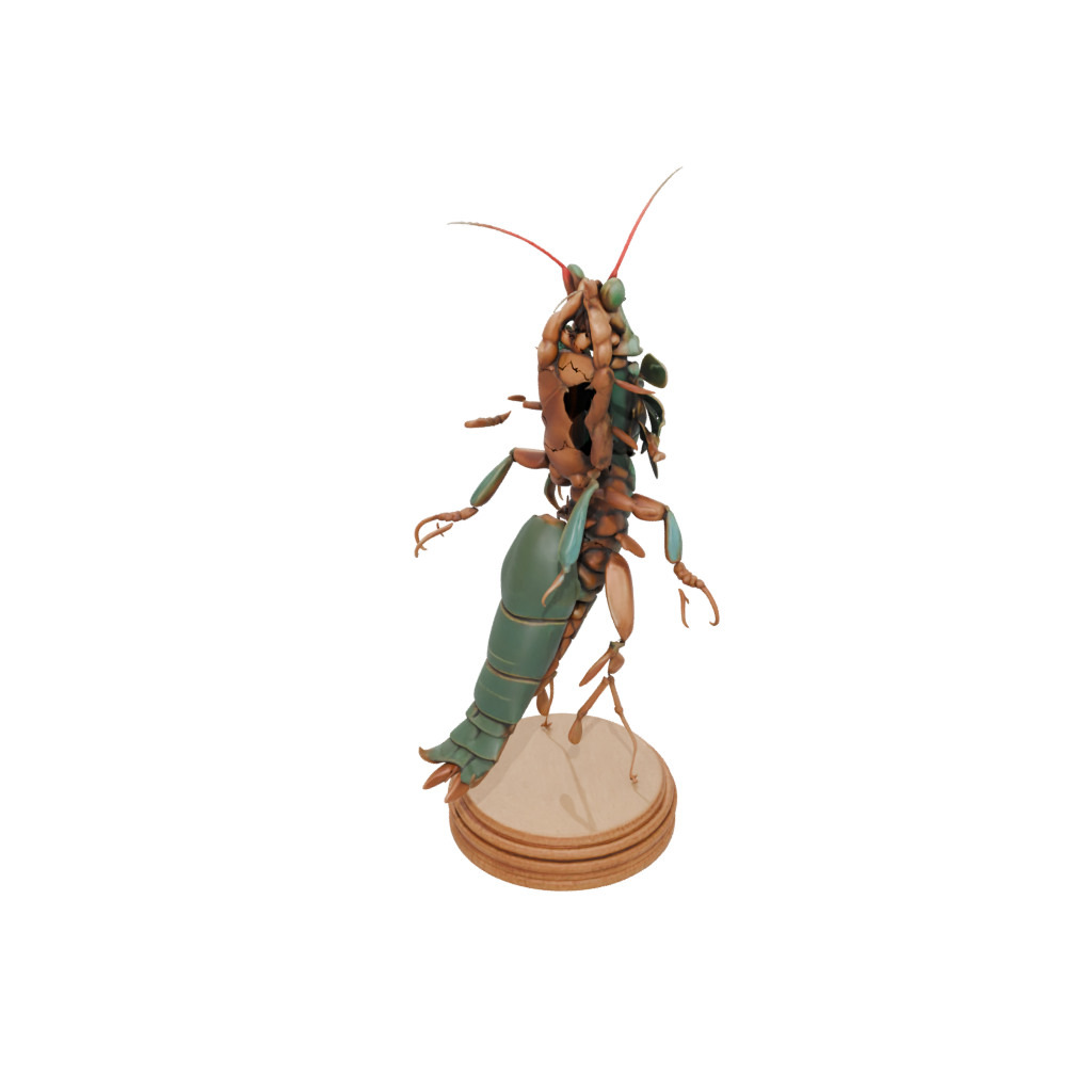 Woodgrain Geo Flexi Mantis Shrimp