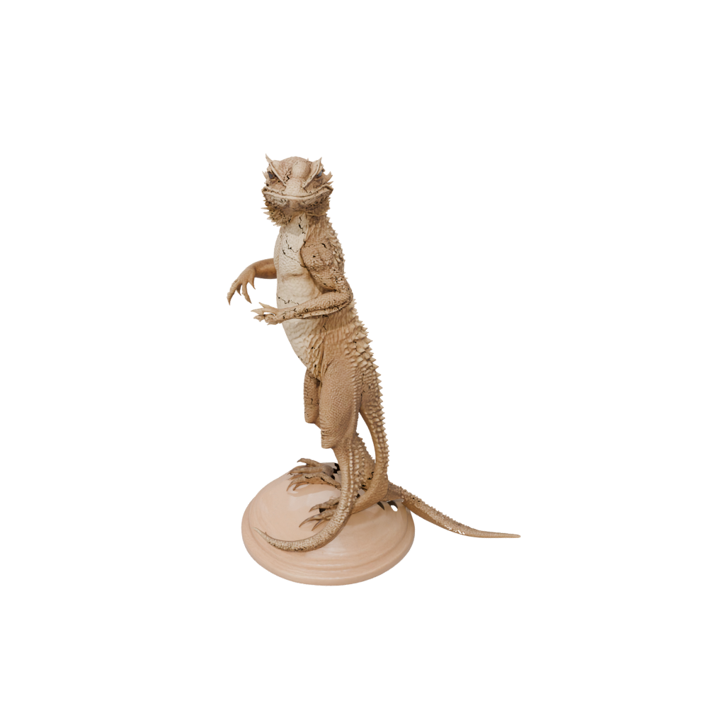 Woodgrain Realistic Flexi Bearded Dragon