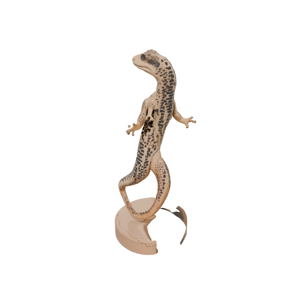 Woodgrain Realistic Flexi Leopard Gecko