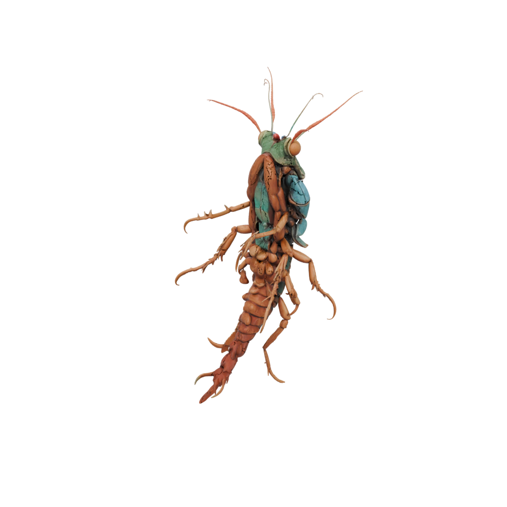 Woodgrain Realistic Flexi Mantis Shrimp