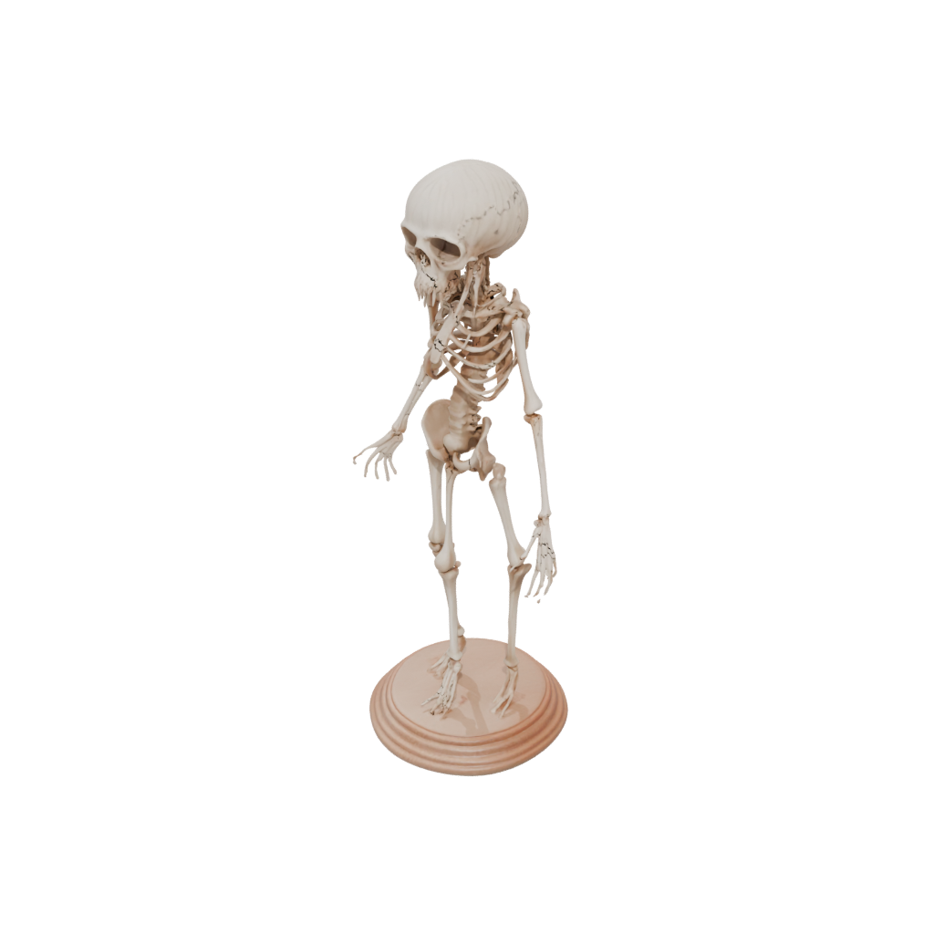 Woodgrain Skeleton Flexi Jellyfish
