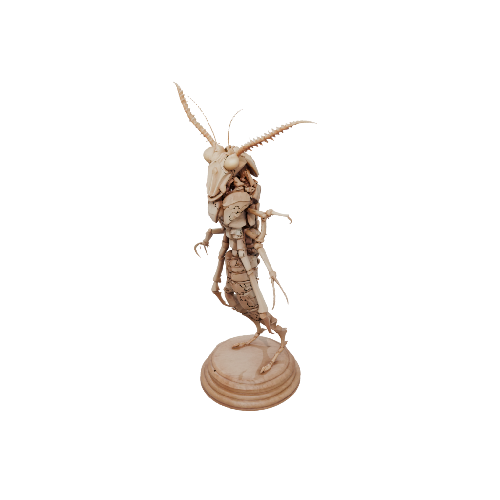 Woodgrain Skeleton Flexi Mantis Shrimp