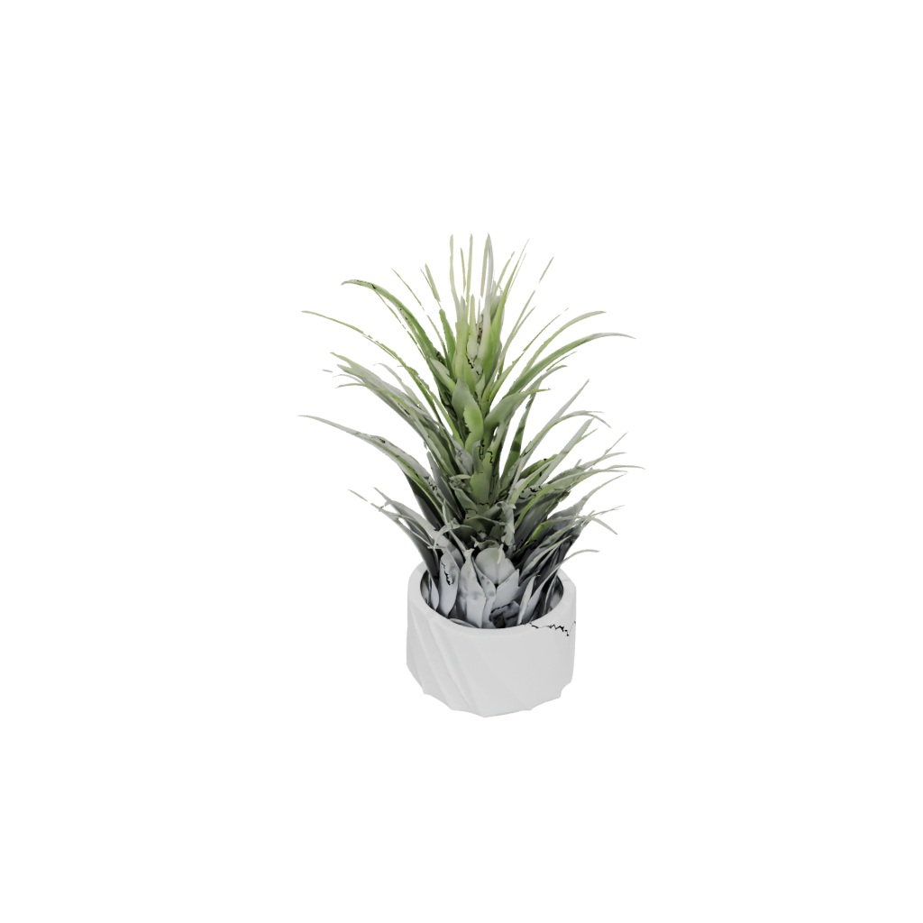 Deco Air-Plant Holder — home decor 3D print model, STL