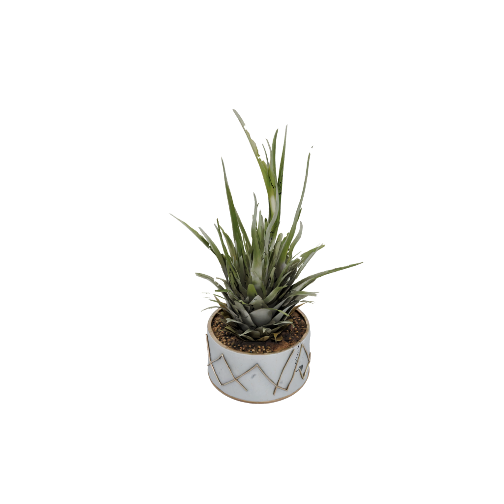Bronze Deco Air-Plant Holder