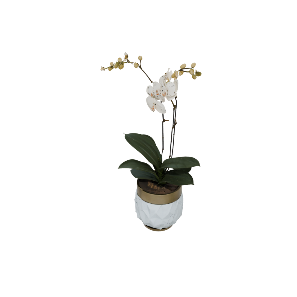 Bronze Geometric Orchid Pot With Drainage — home decor 3D print model, STL