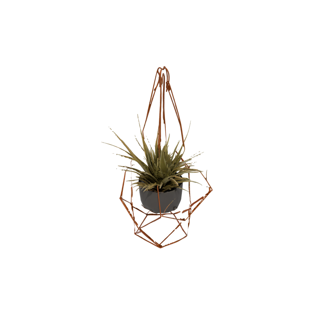 Bronze Air-Plant Holder