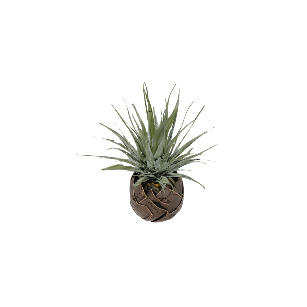 Bronze Rustic Air-Plant Holder — home decor 3D print model, STL