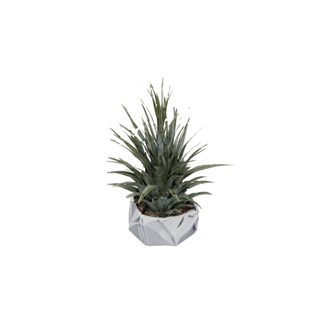Camo Deco Air-Plant Holder