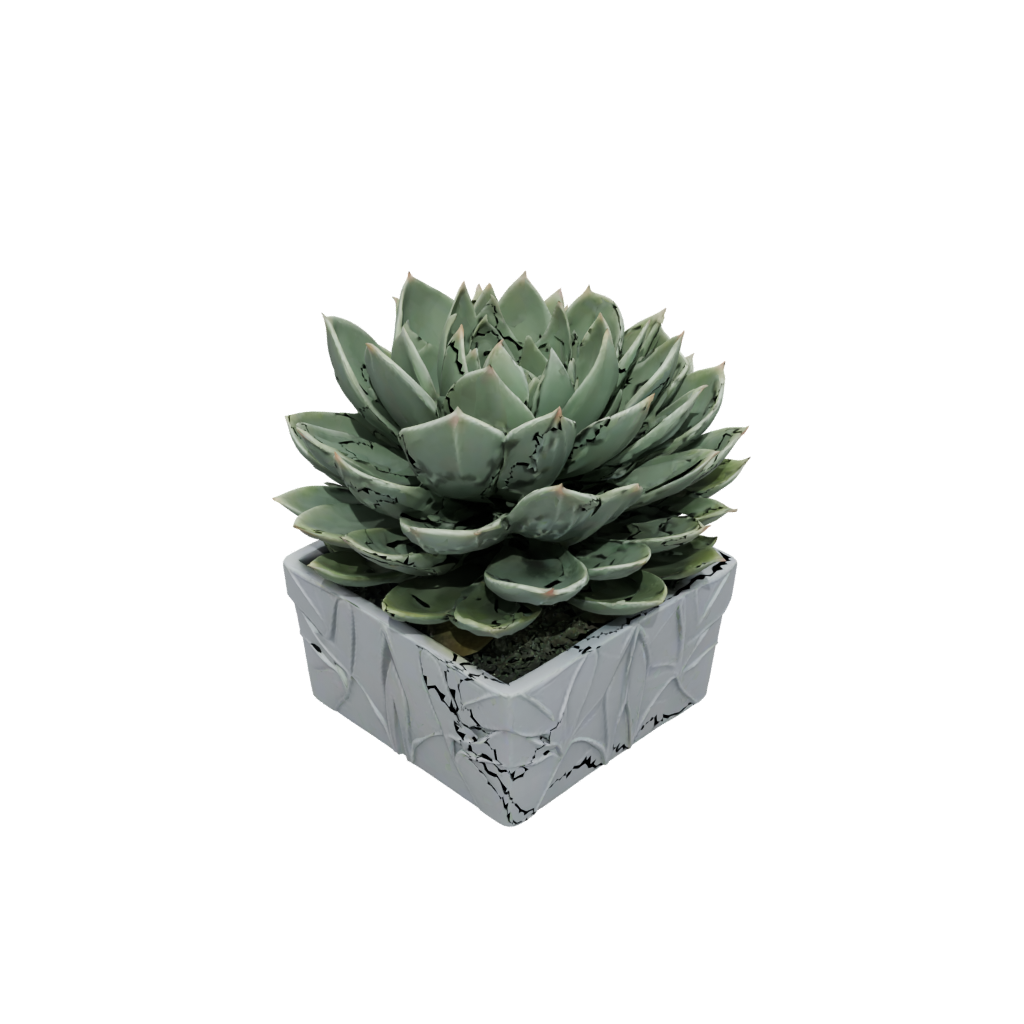 Camo Deco Modern Succulent Planter