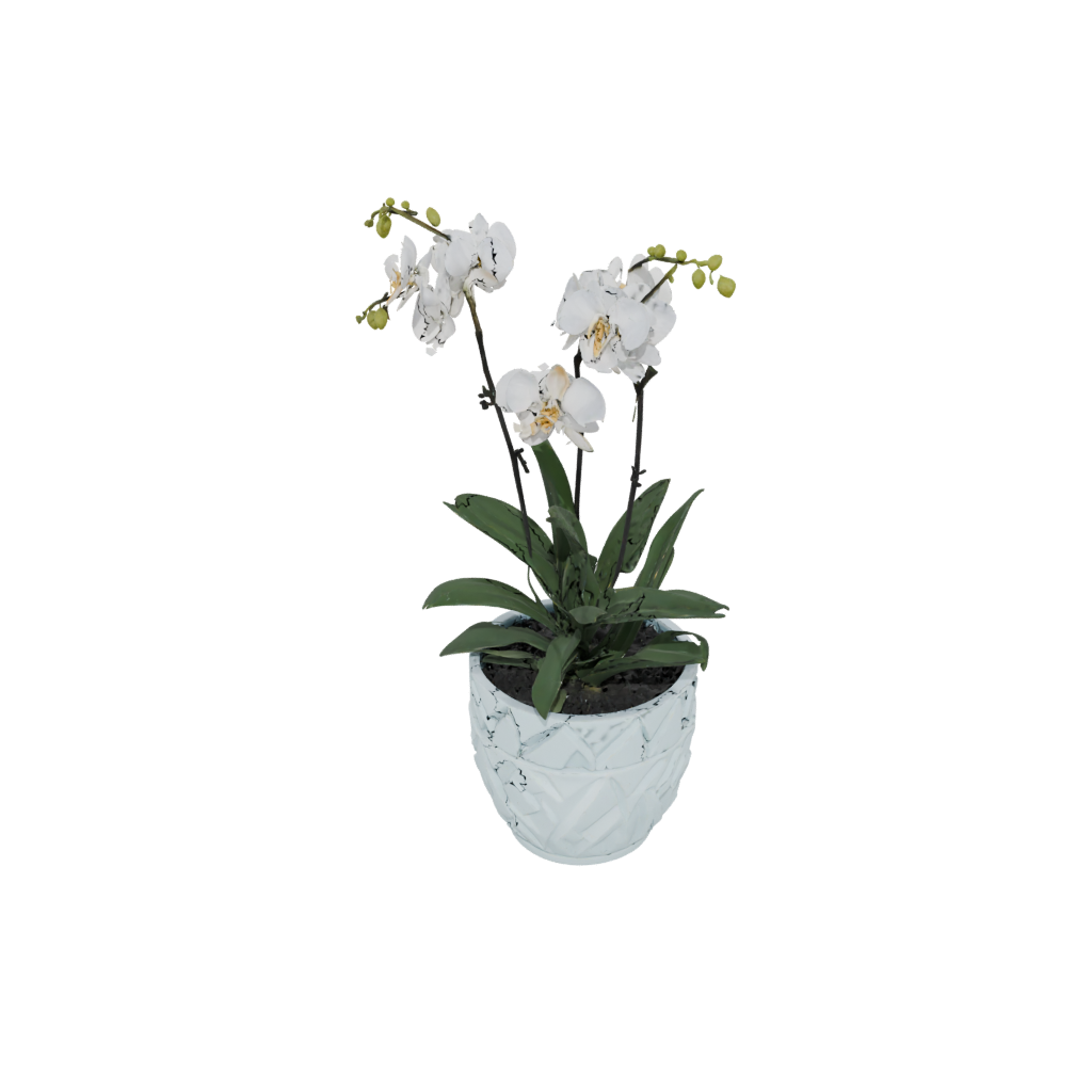 Camo Deco Orchid Pot With Drainage