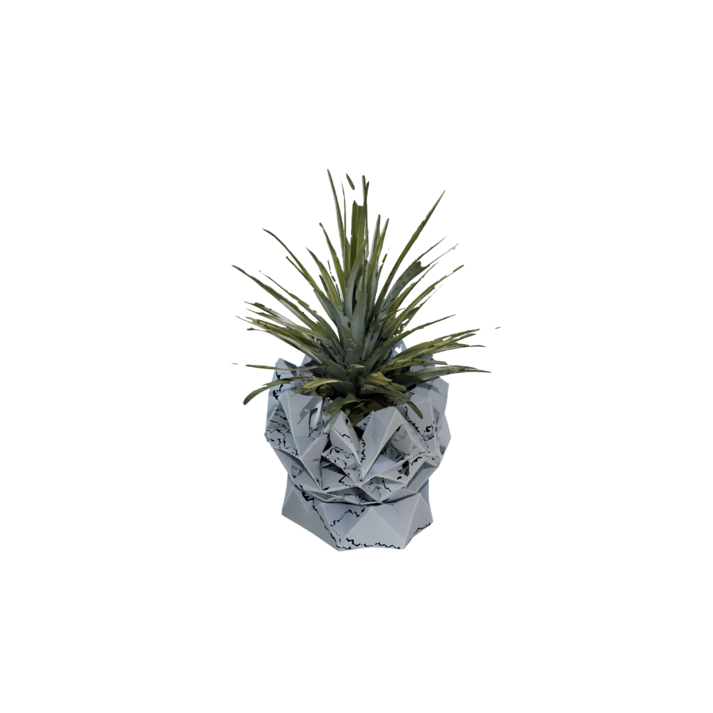 Camo Air-Plant Holder