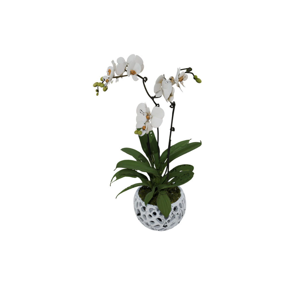 Camo Organic Orchid Pot With Drainage — home decor 3D print model, STL