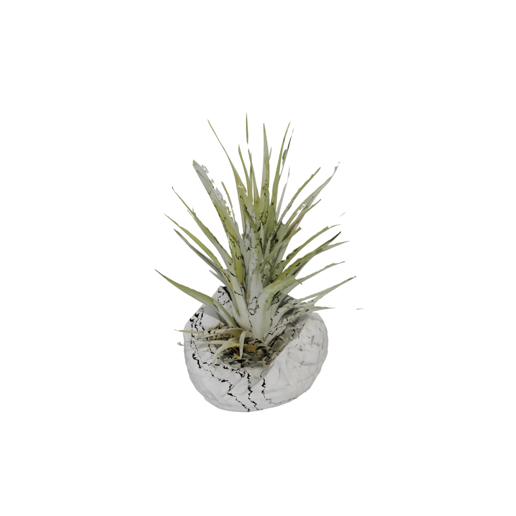 Camo Rustic Air-Plant Holder — home decor 3D print model, STL