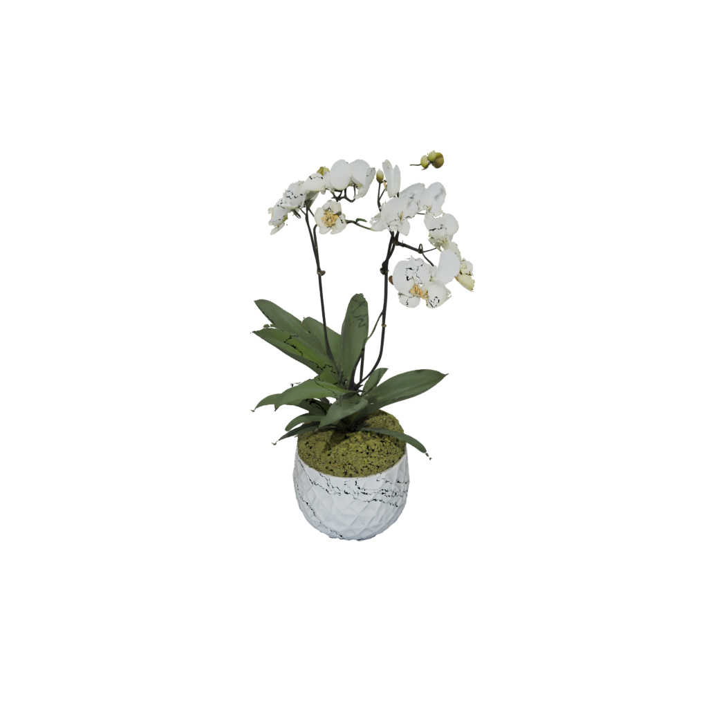 Camo Rustic Orchid Pot With Drainage — home decor 3D print model, STL