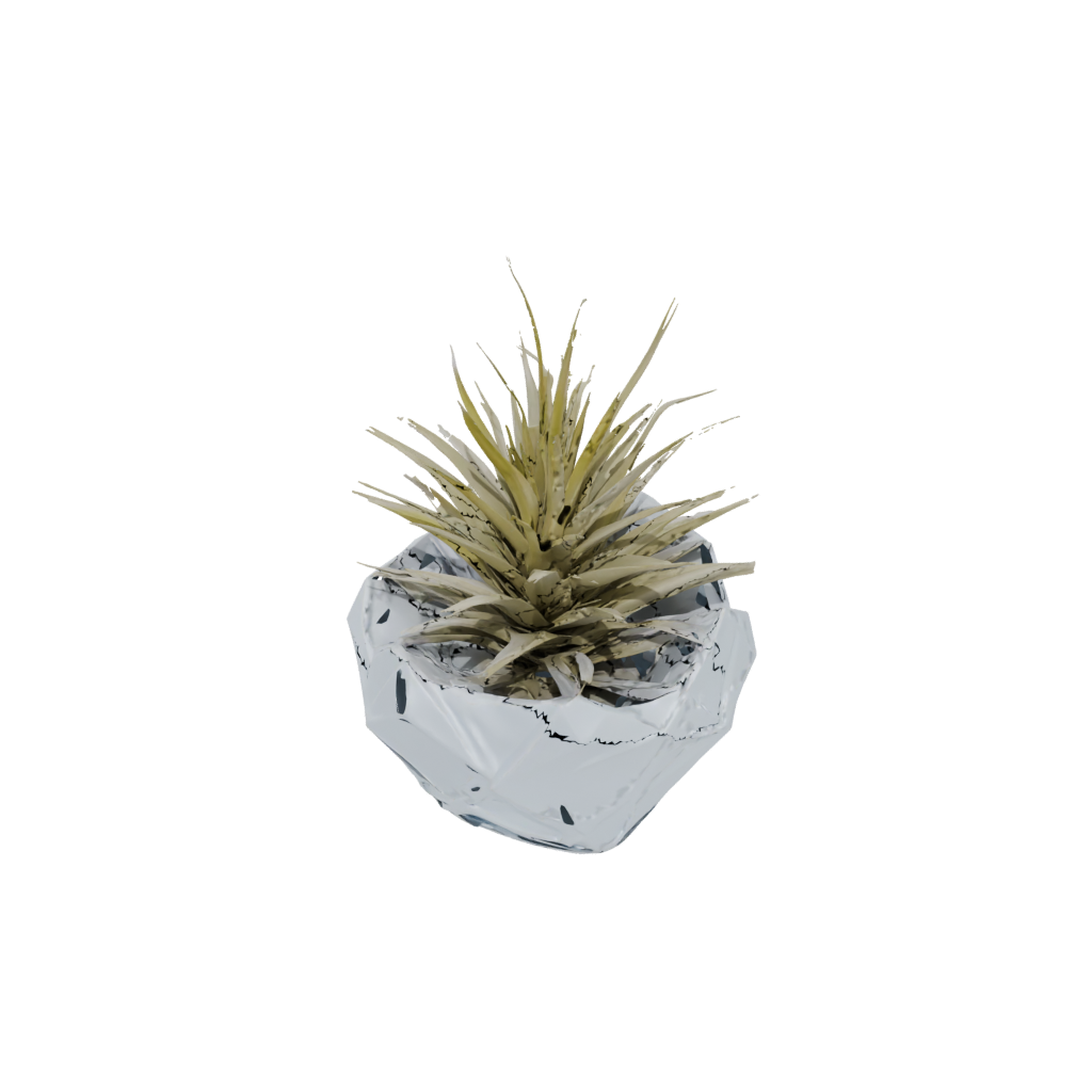 Crystal Geometric Air-Plant Holder