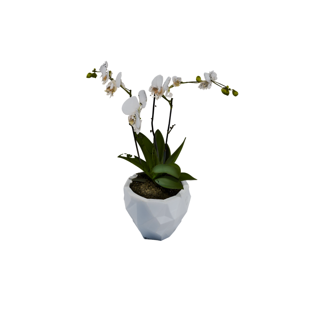 Crystal Orchid Pot With Drainage — home decor 3D print model, STL