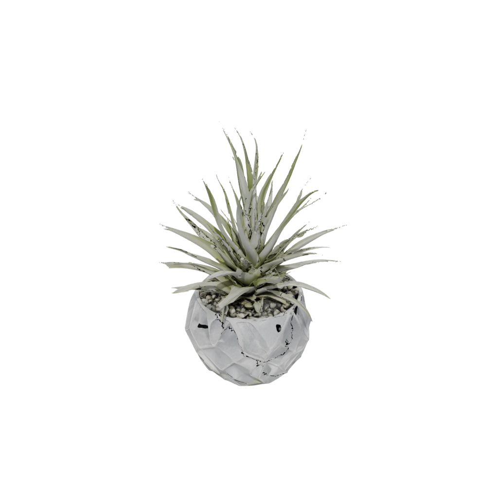 Crystal Rustic Air-Plant Holder