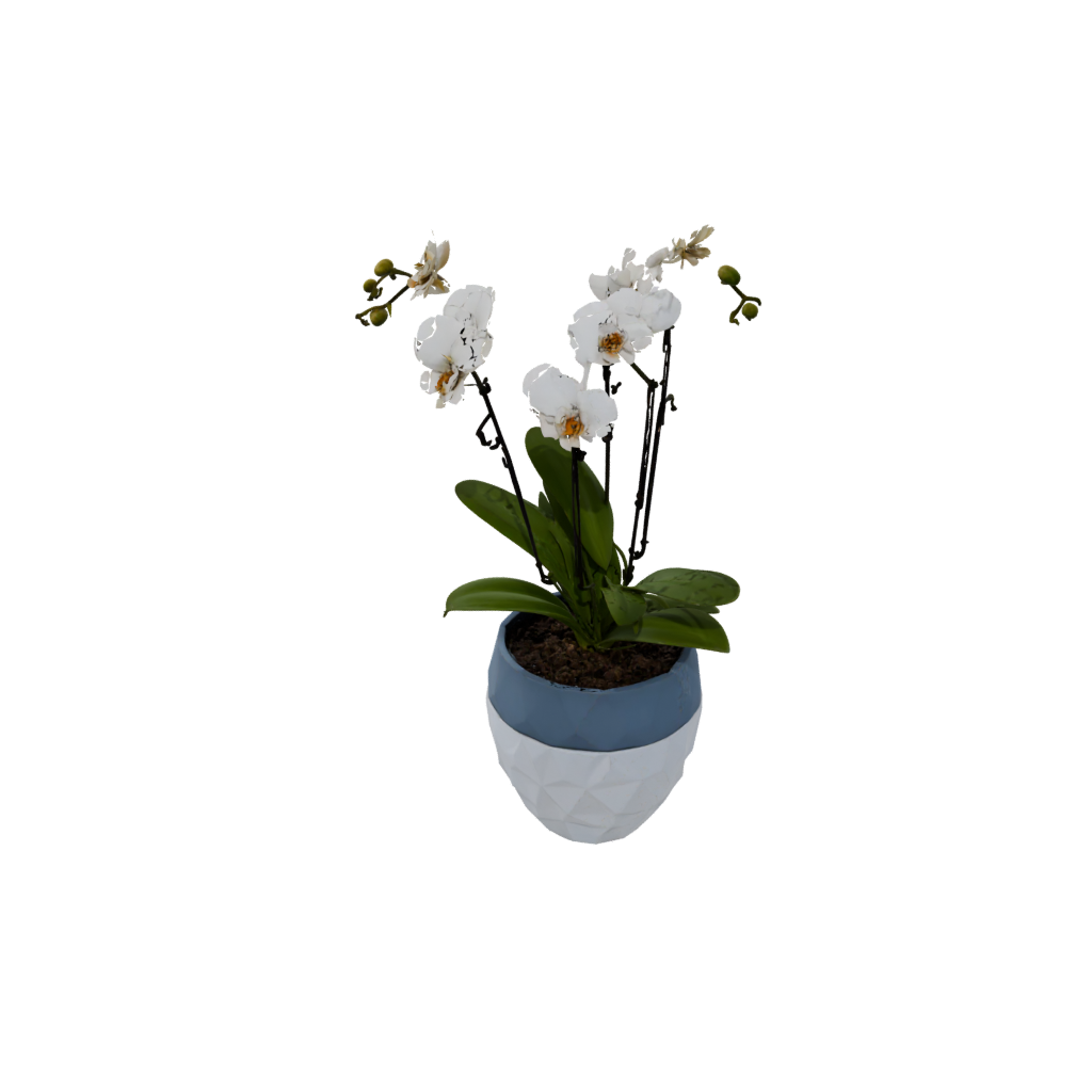 Galaxy Orchid Pot With Drainage — home decor 3D print model, STL