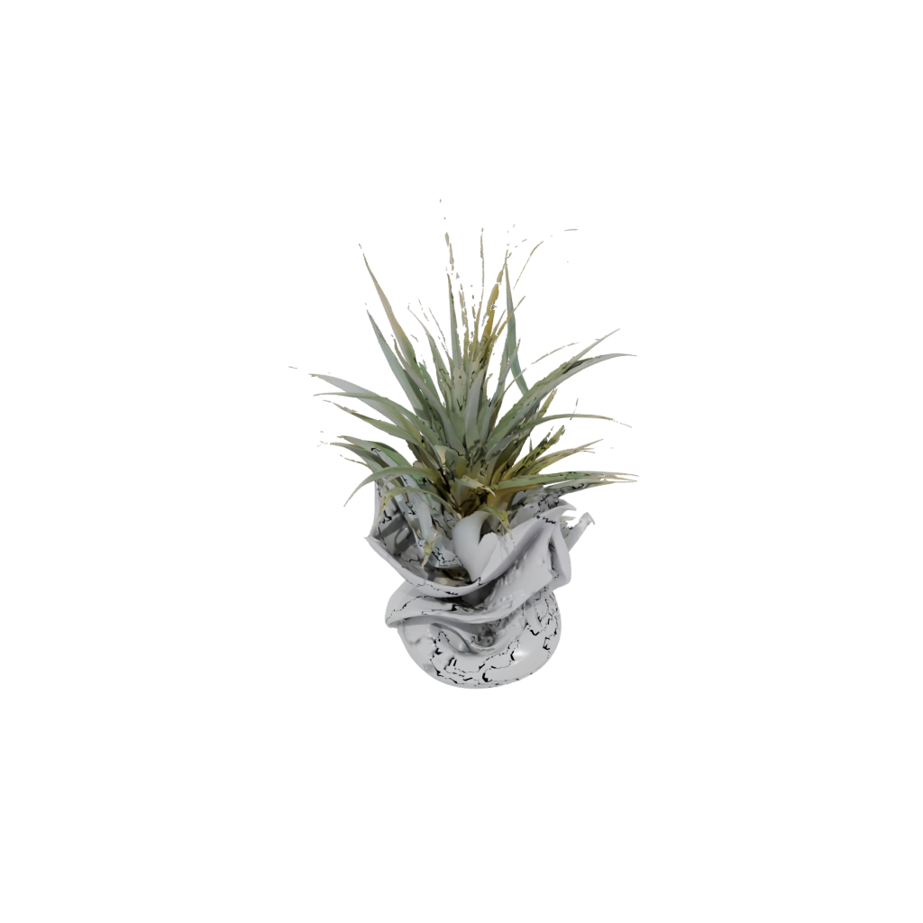 Galaxy Organic Air-Plant Holder
