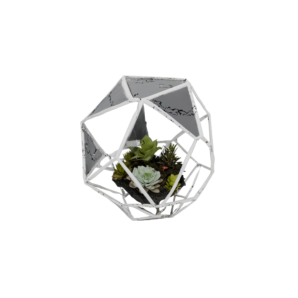 Galaxy Organic Geometric Terrarium Frame
