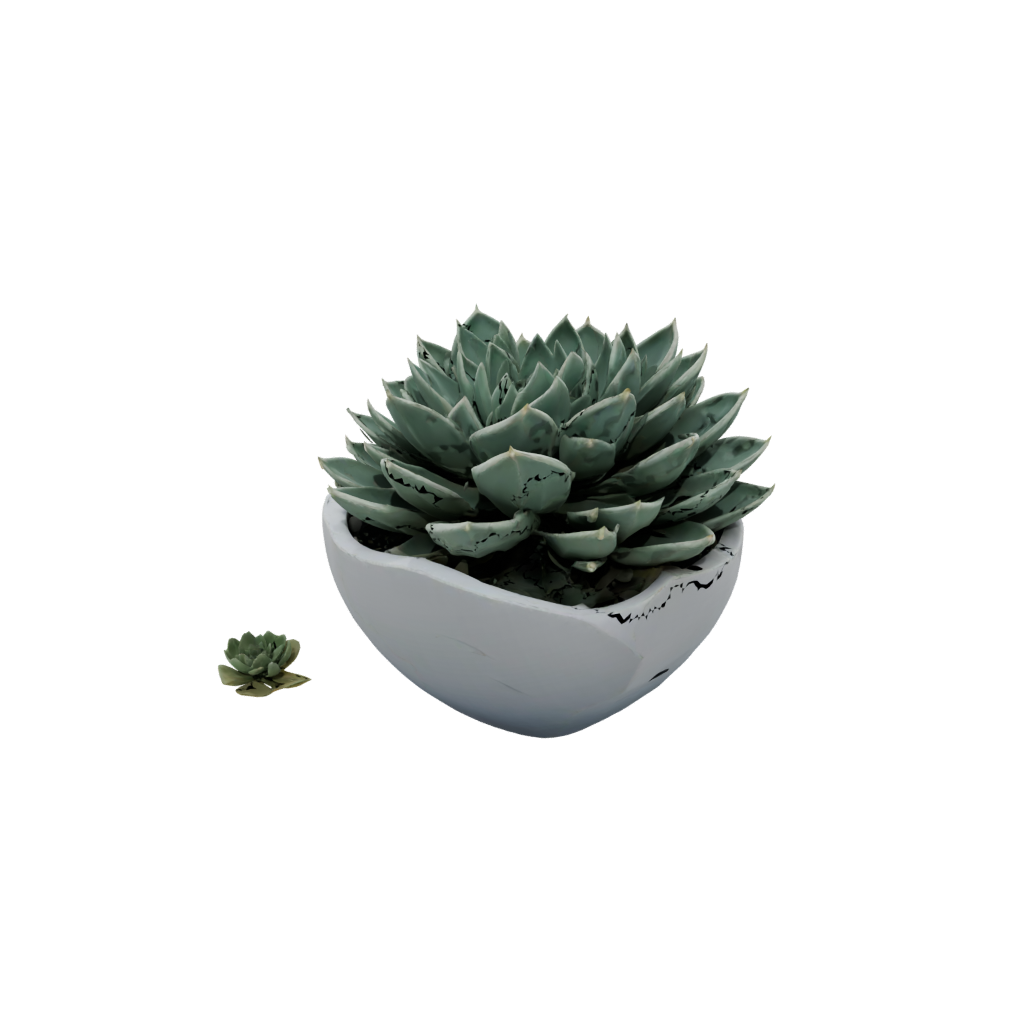 Galaxy Organic Modern Succulent Planter