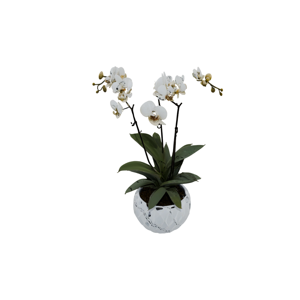 Galaxy Organic Orchid Pot With Drainage