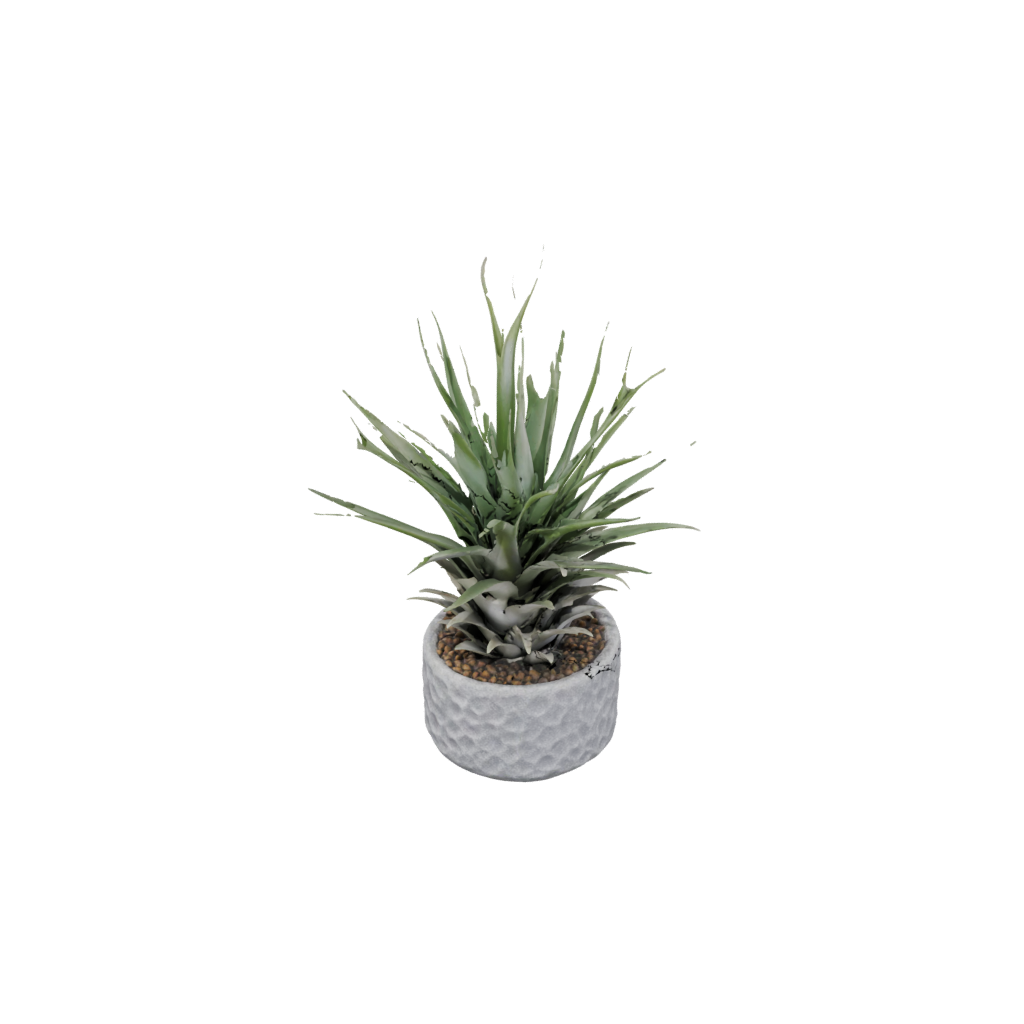Galaxy Rustic Air-Plant Holder
