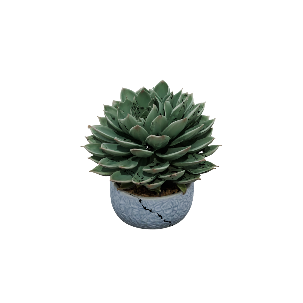 Galaxy Rustic Modern Succulent Planter