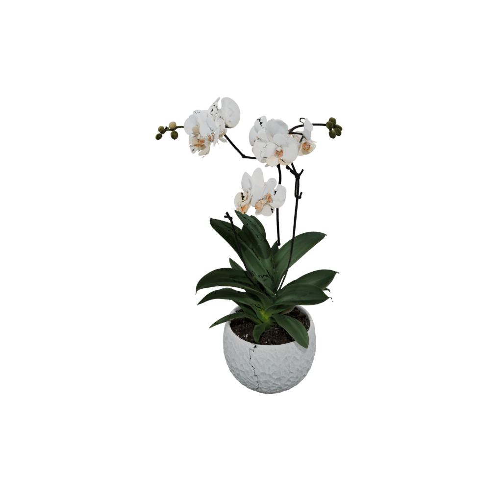 Galaxy Rustic Orchid Pot With Drainage