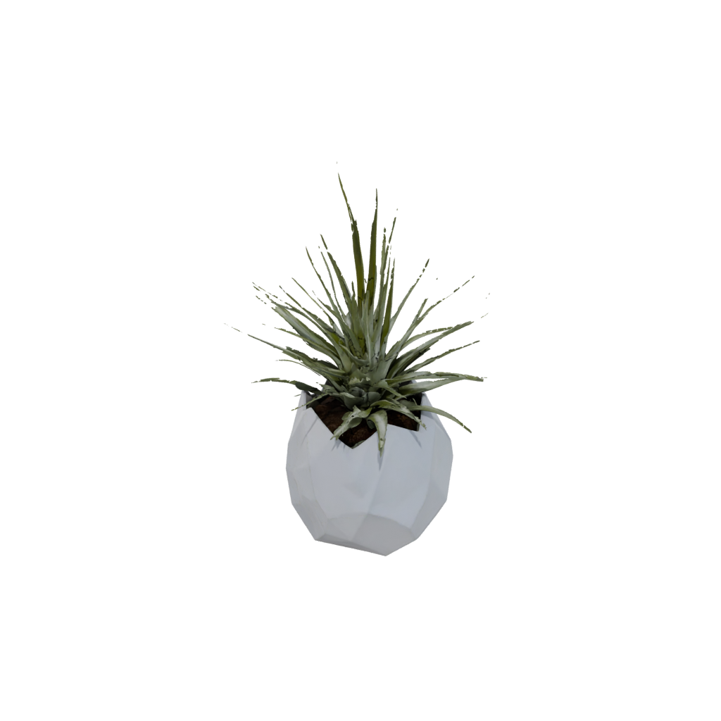 Geometric Air-Plant Holder