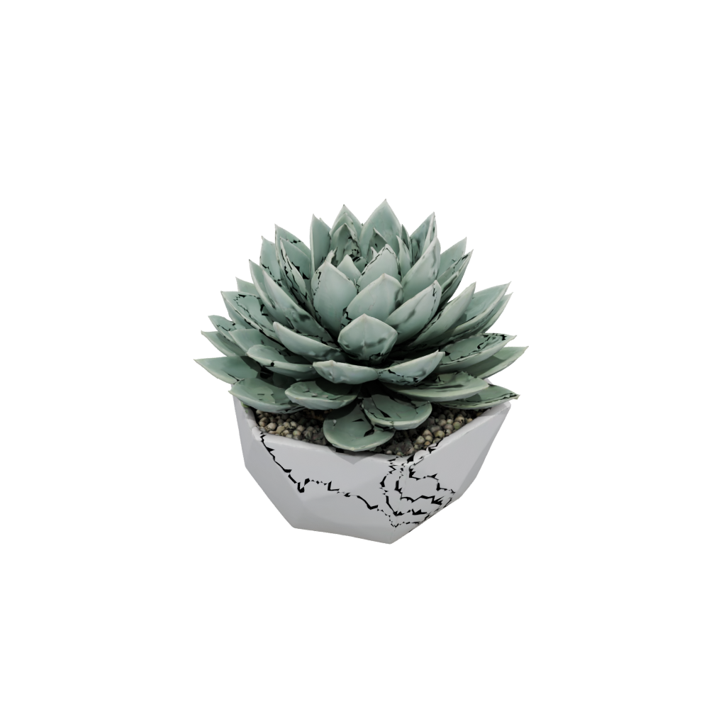 Geometric Modern Succulent Planter
