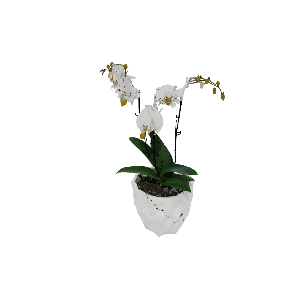 Geometric Orchid Pot With Drainage
