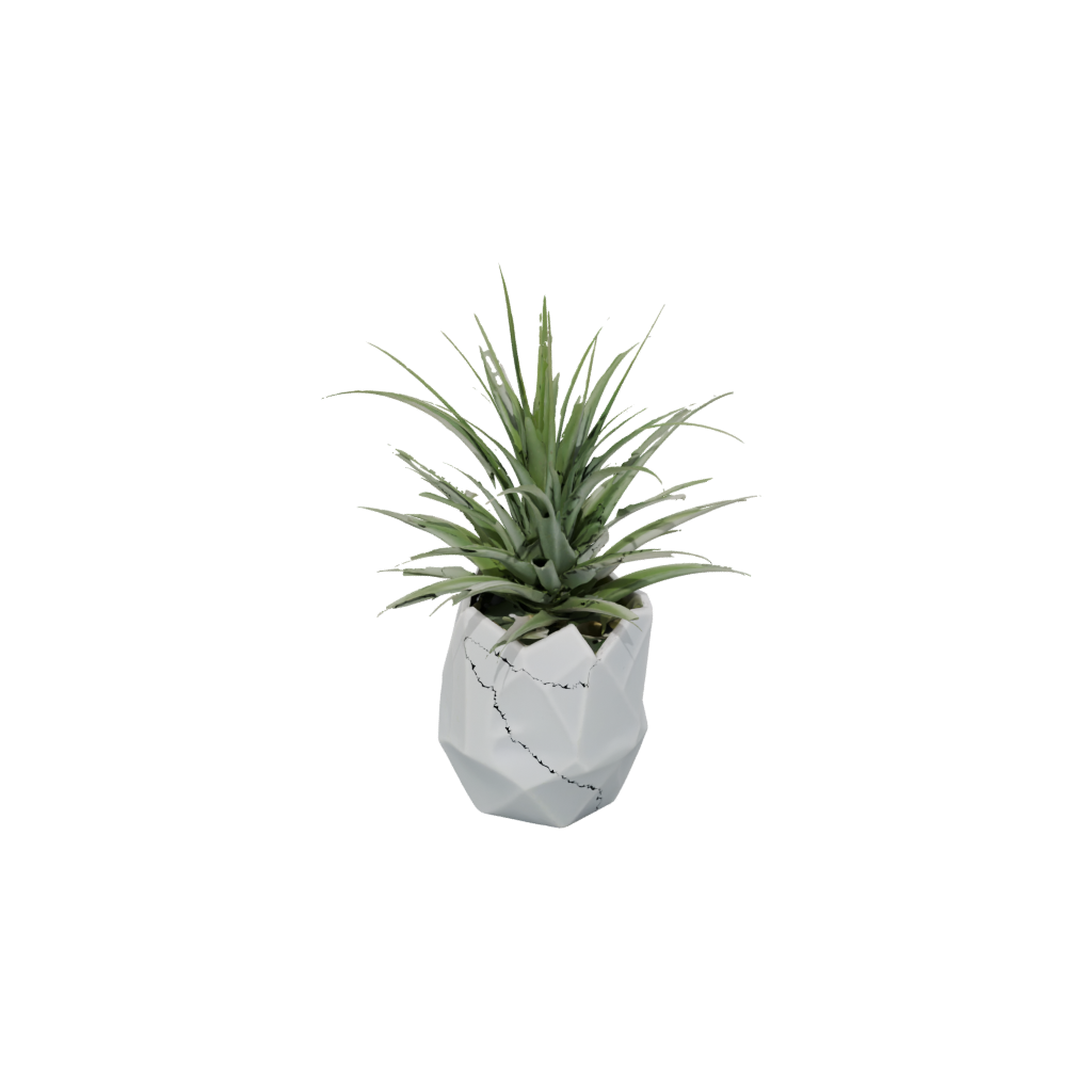 Glow Geometric Air-Plant Holder