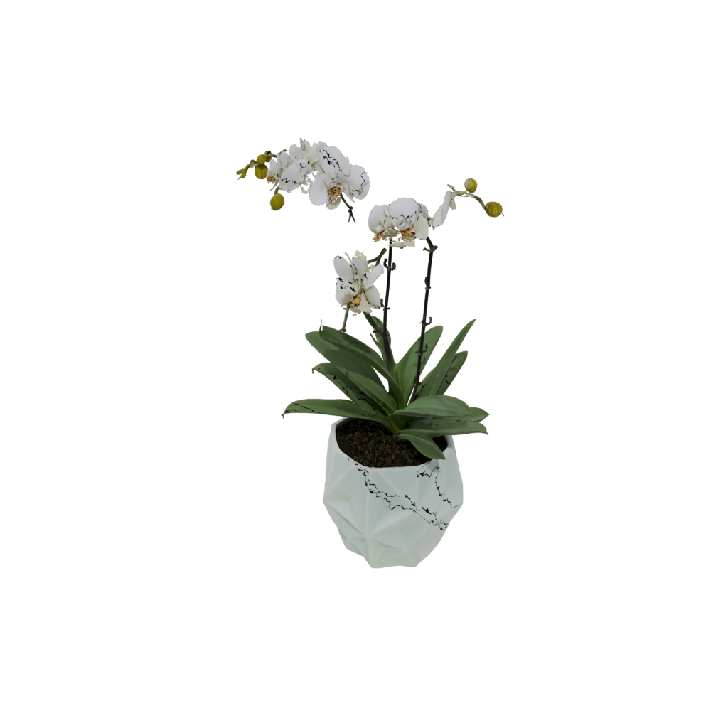 Glow Geometric Orchid Pot With Drainage
