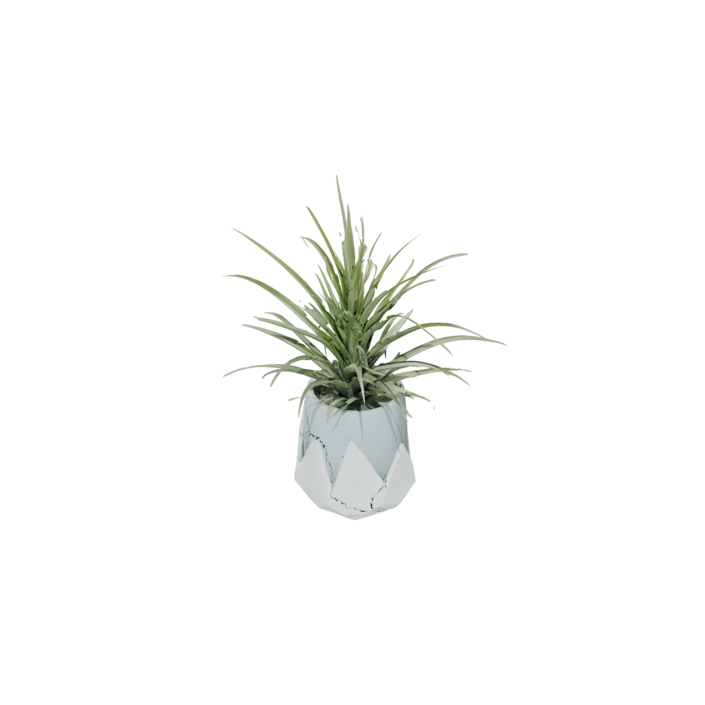 Glow Air-Plant Holder