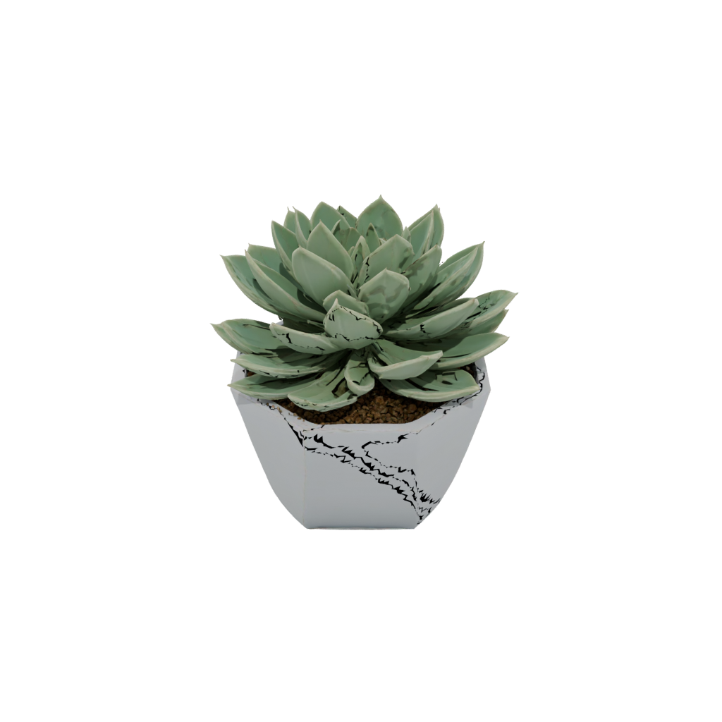 Glow Modern Succulent Planter
