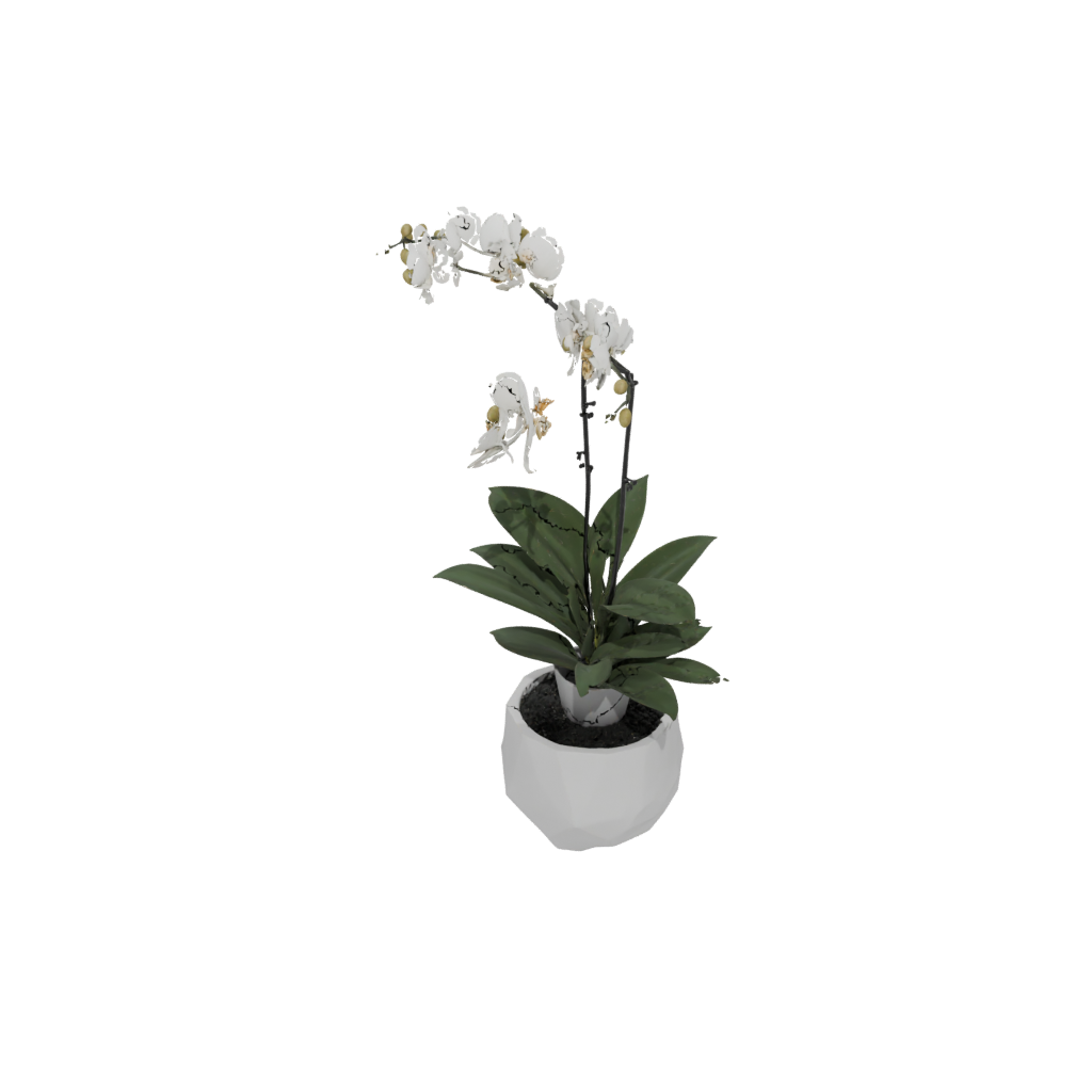 Glow Orchid Pot With Drainage