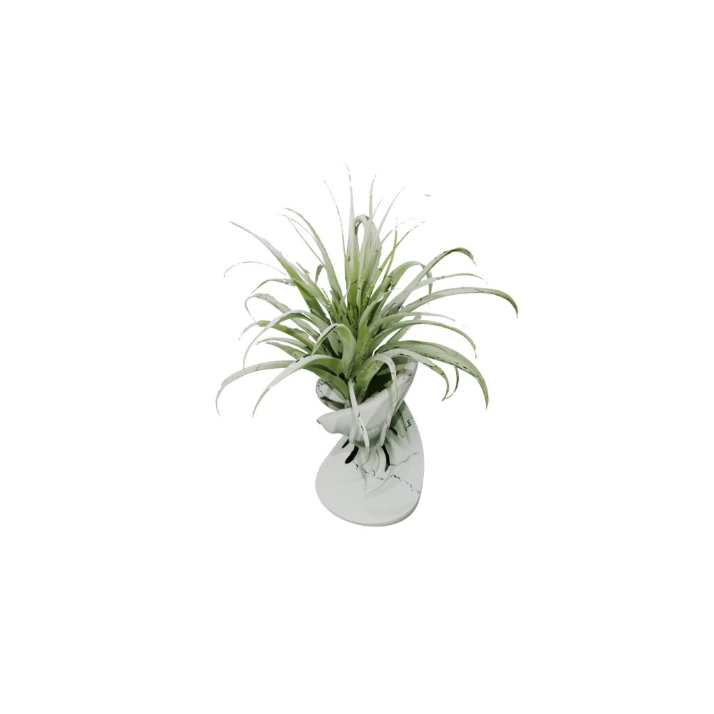 Glow Organic Air-Plant Holder — home decor 3D print model, STL
