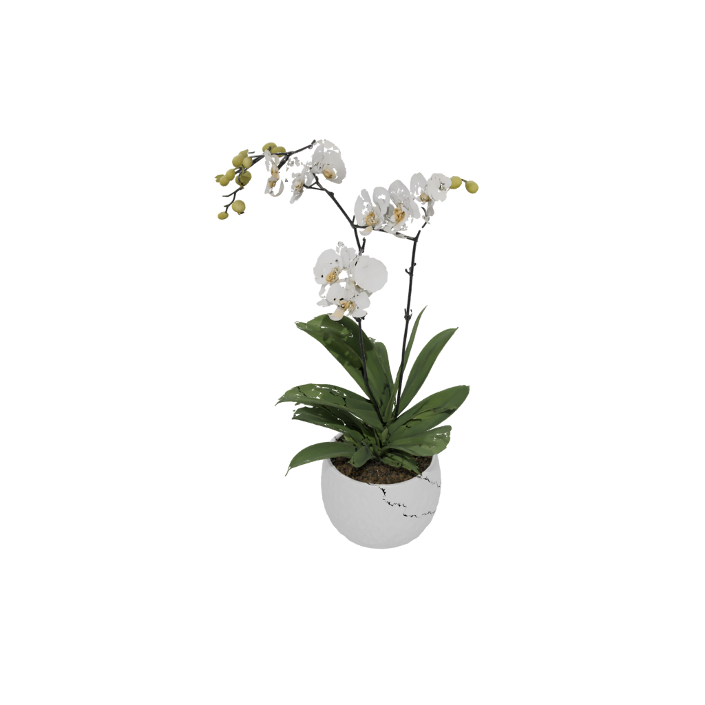 Glow Rustic Orchid Pot With Drainage — home decor 3D print model, STL