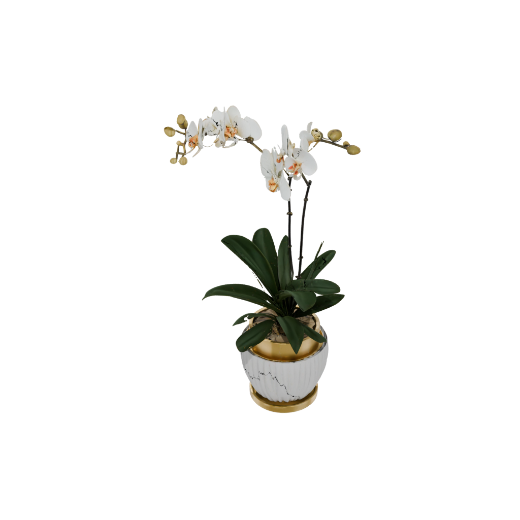 Gold Deco Orchid Pot With Drainage — home decor 3D print model, STL