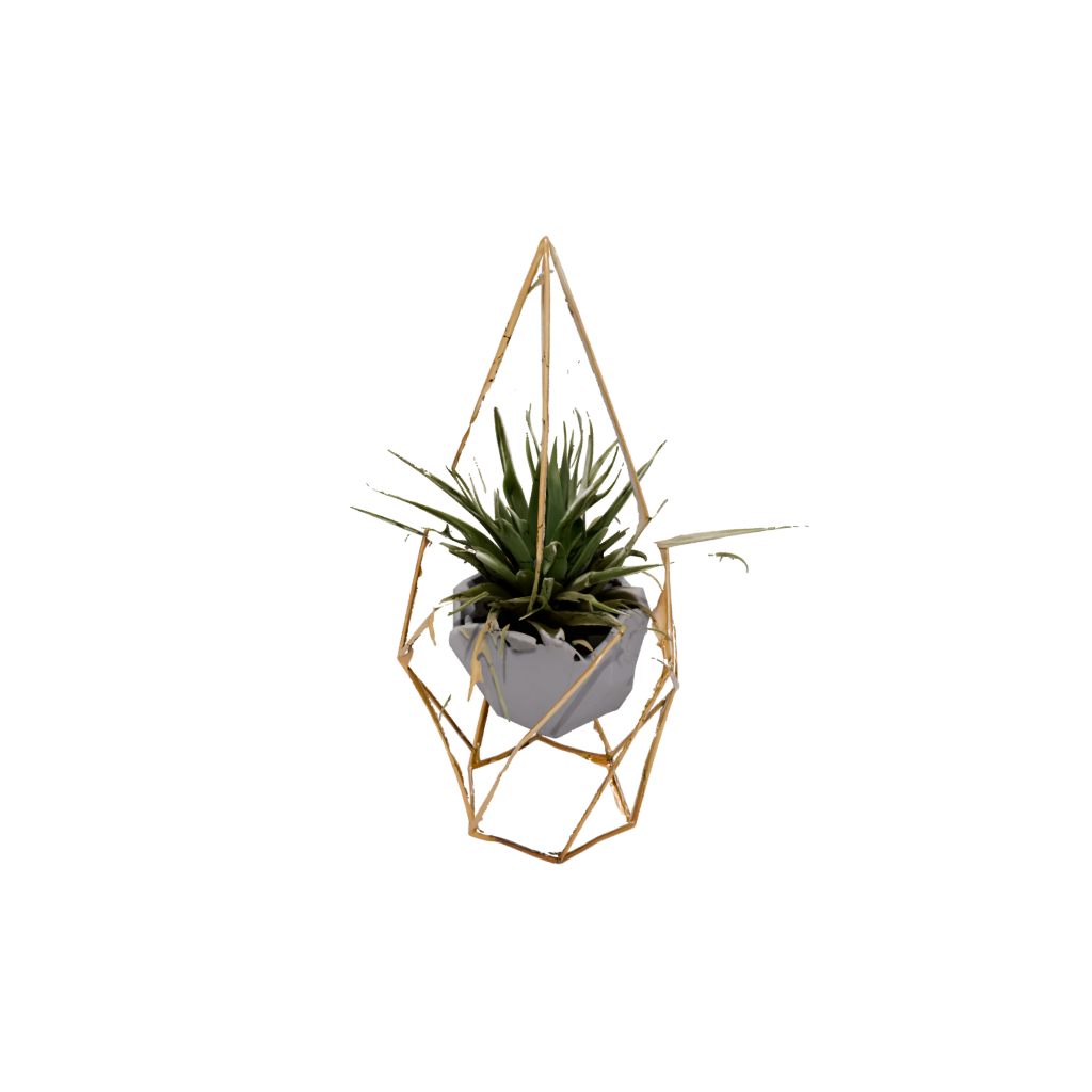 Gold Geometric Air-Plant Holder