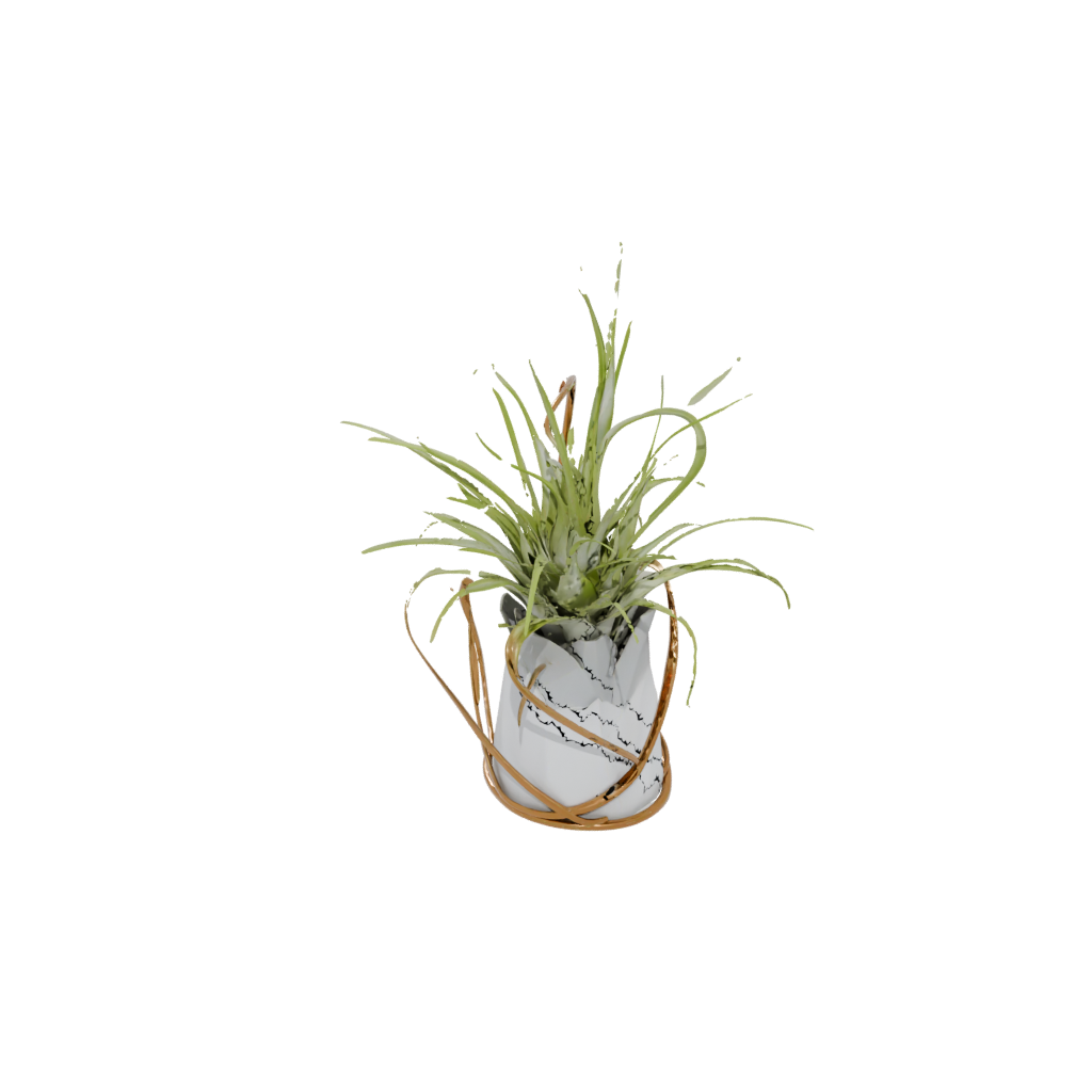 Gold Air-Plant Holder