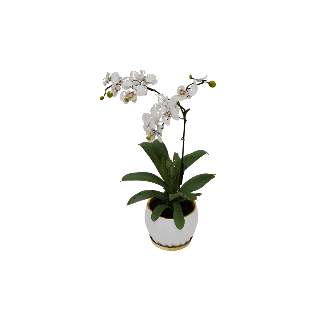 Gold Orchid Pot With Drainage