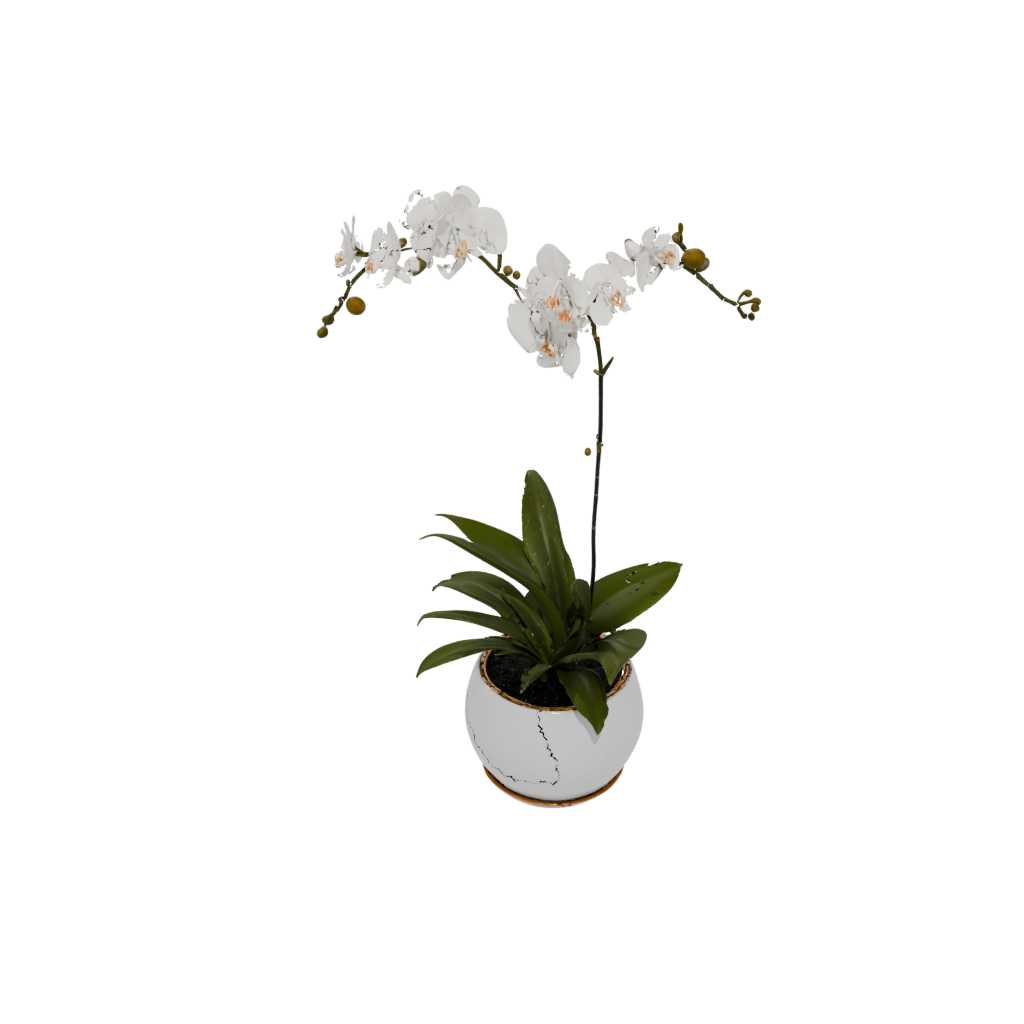 Gold Organic Orchid Pot With Drainage — home decor 3D print model, STL