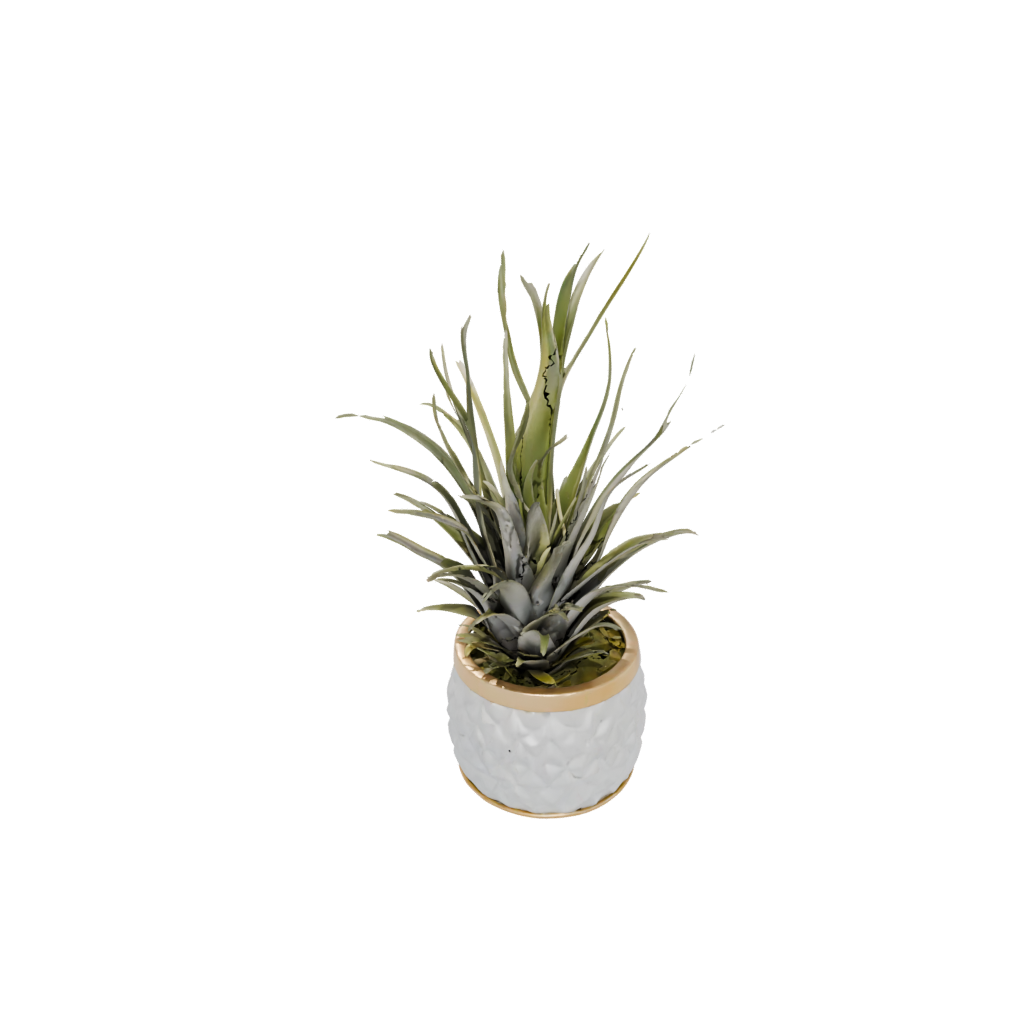 Gold Rustic Air-Plant Holder — home decor 3D print model, STL