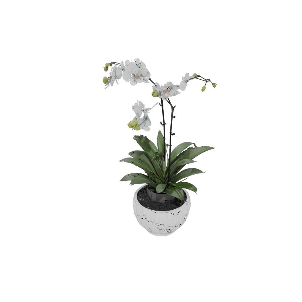 Holiday Deco Orchid Pot With Drainage — home decor 3D print model, STL