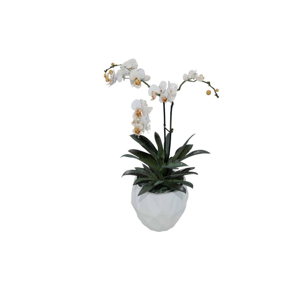 Holiday Geometric Orchid Pot With Drainage